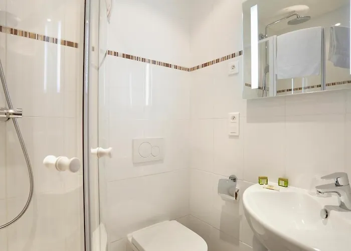 Les Marronniers Hotel Thonon-les-Bains