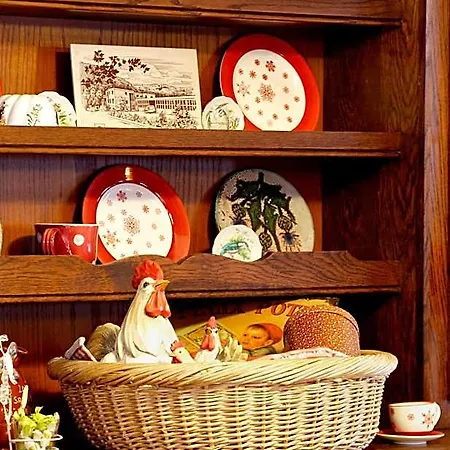 Les Marronniers Hotel Thonon-les-Bains